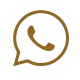 WhatsApp icon